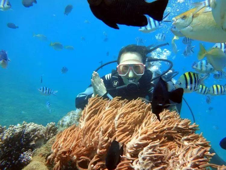 探索阴天海水一键变蓝领域的知识星球平台