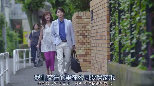 光合硅能蓄电池与车用的蓄电池有什么区别？普通货车可以给光合硅能蓄电池充电吗？游戏画面